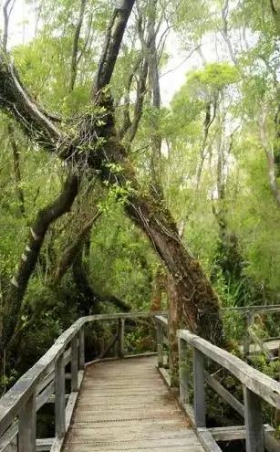 Vientos de Chiloé - Terreno en venta en Chiloé